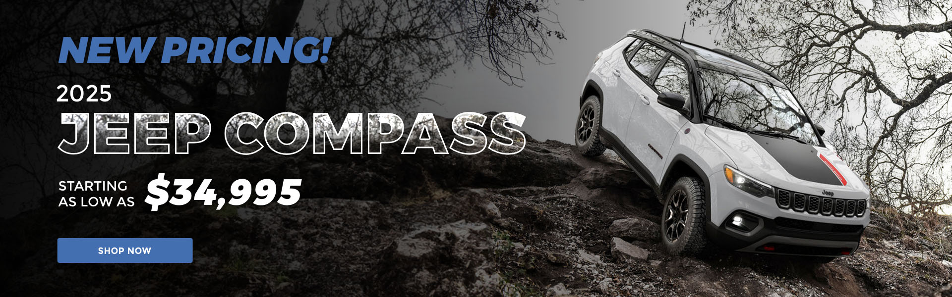 StockieChryslerDodge-HomepageBannerX2-D1-HPBanner-V2